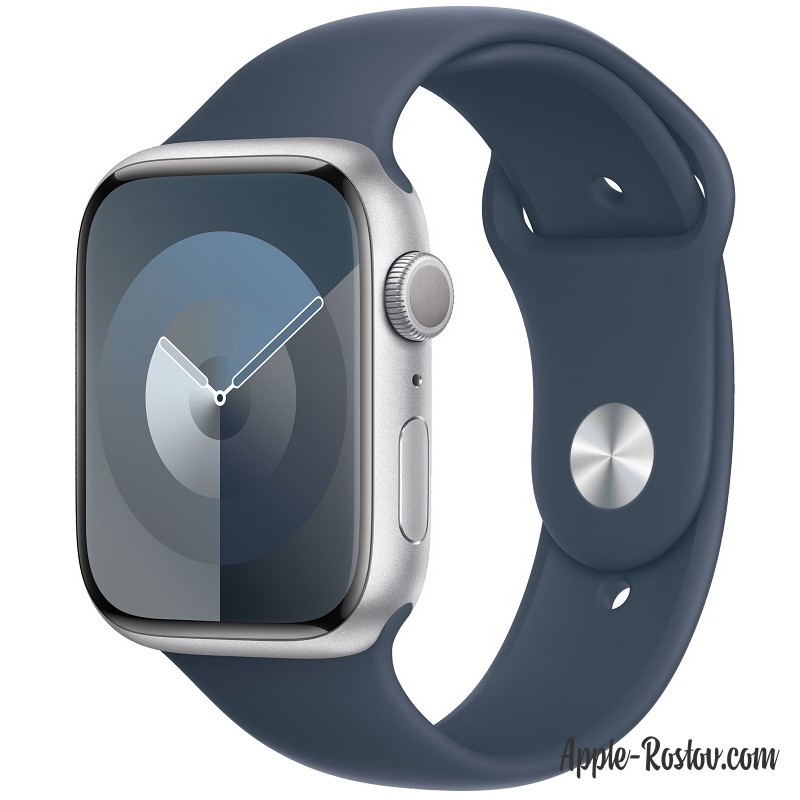 Apple Watch Series 9 45 mm Silver